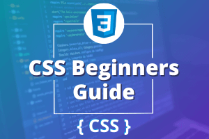 CSS Begineer Course